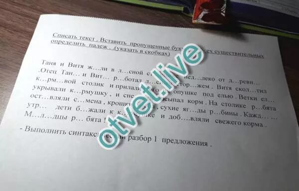 Таня и витя жили в деревне. Диктант гостья. таня и витя жили в лесной сторожке. диктант редкая гостья. редкая гостья изложение.