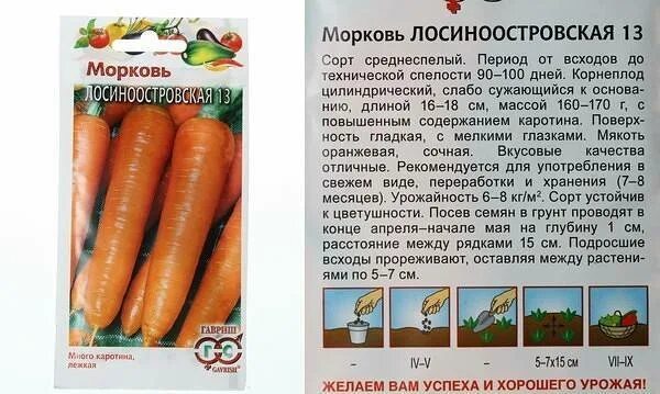 Лосиноостровская морковь описание сорта отзывы