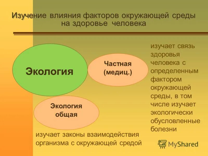 изучение влияния окружающей среды на людей