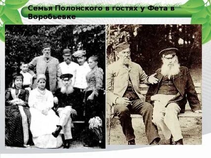 Семья фета