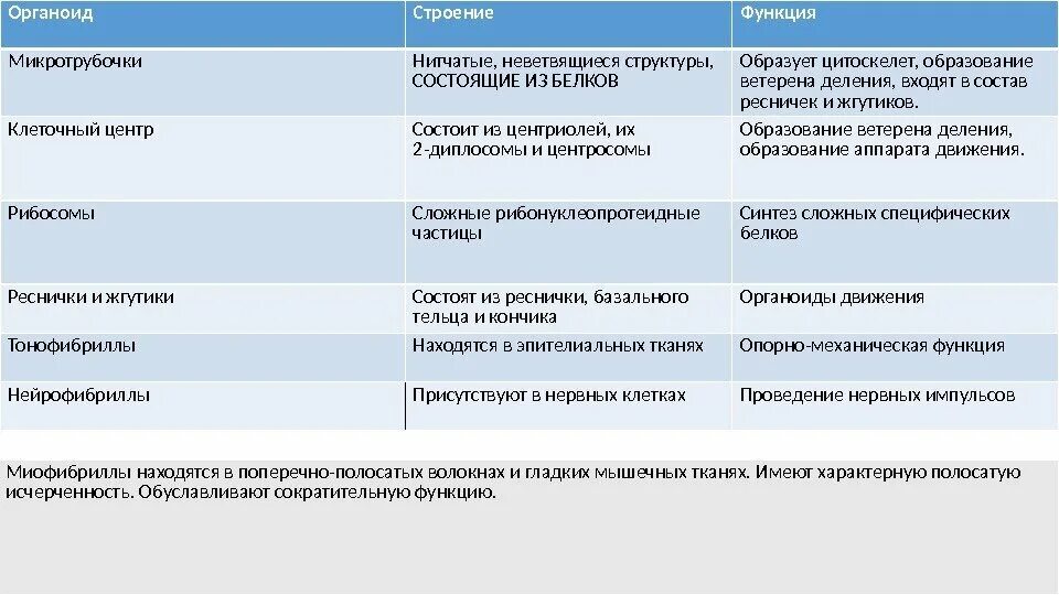 Таблица строение клетки особенности строения функция. Таблица строение клетки особенности строения функция