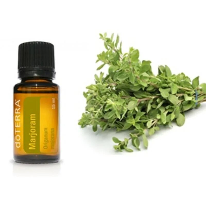 Майоран масло применение. Майоран ДОТЕРРА. Marjoram DOTERRA. Тулси ДОТЕРРА. Майоран Marjoram ДОТЕРРА.