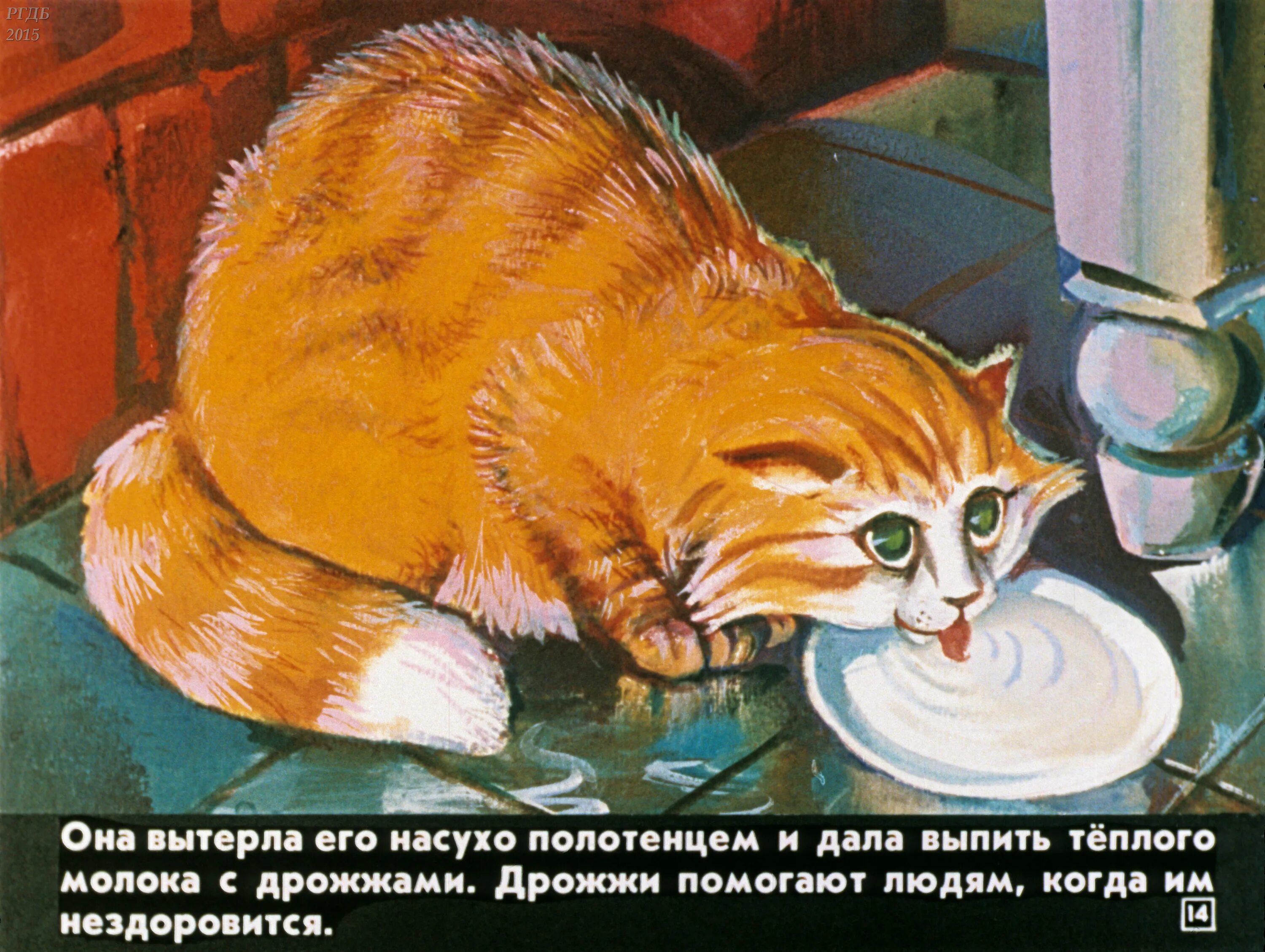 Паустовский к. "кот-ворюга". Паустовский кот ворюга иллюстрации. Паустовский кот варюга. Кот воришка Паустовский.