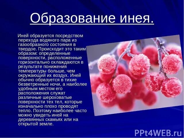 Процесс образования инея. Как образуется иней. Доклад на тему иней. Образование инея. Как появляется иней кратко.