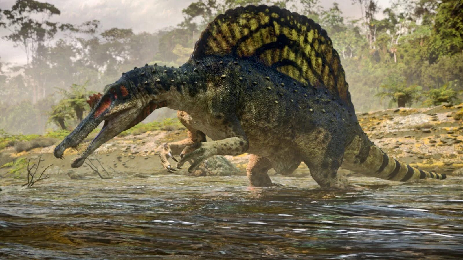 Хищный динозавр 12 букв. Спинозавр Планета динозавров. Динозавр Спинозавр. Спинозавр хищник. Планета динозавров bbc 2011.