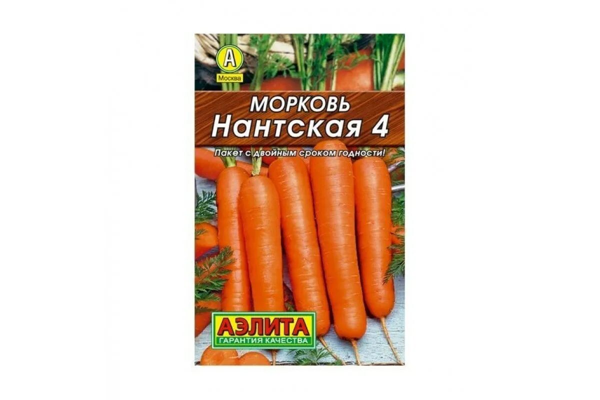 Морковь 4. Морковь петрушка. Сорт моркови нантская 4. Сорт моркови нантская 4. Зелень морковки.