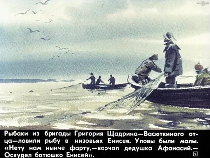 Васюткино озеро рыбы