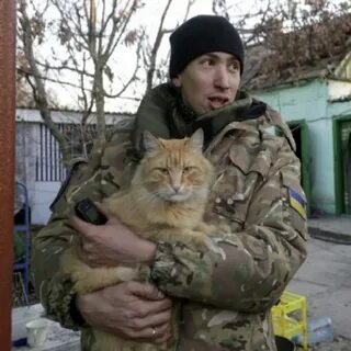 Суровые коты донбасса