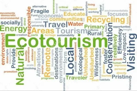 What is your attitude to ecotourism