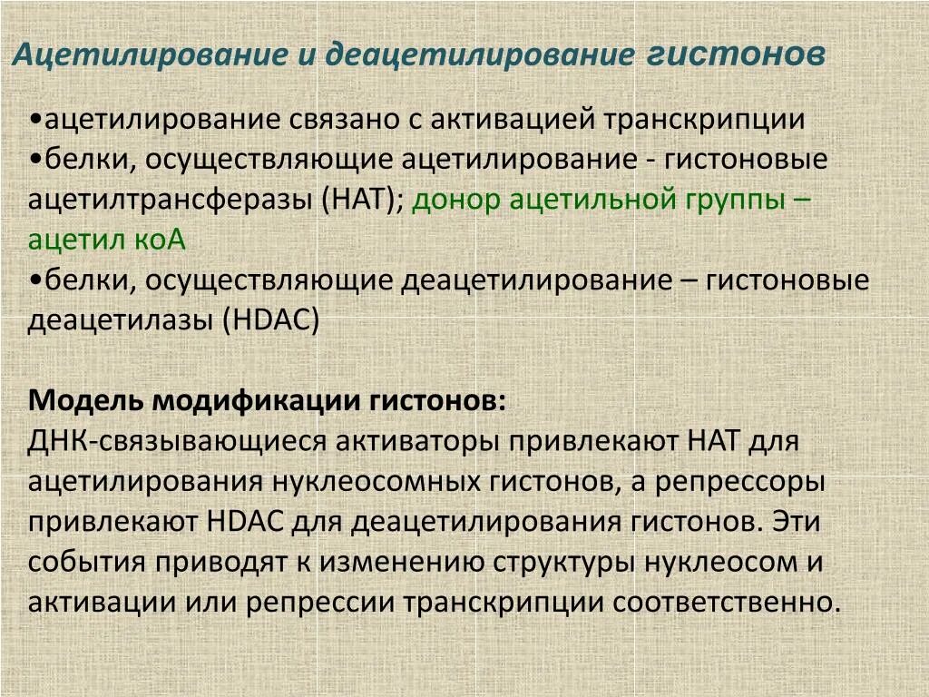 Связана с белками гистонами. Ацетилирование. Метод ацетилирования. Ацетилирование гистонов. Реакция ацетилирования.