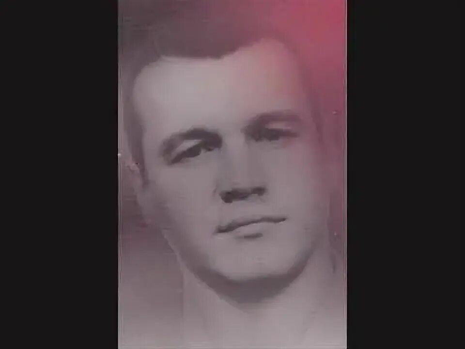 Я на волю как из клетки сизым. Я на волю сизым голубком наговицын. наговицын сизый. сергей наговицын сизый. сергей наговицын я на волю.