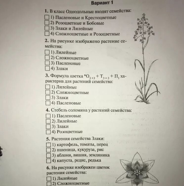 Тест класс однодольные 7 класс. Тест по растениям. Тест по биологии. Тест по биологии 6 класс. Биология 6 класс тесты.