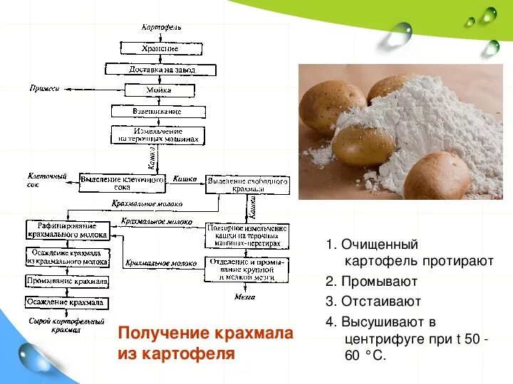 Какой химический картофеля. Схема получения картофельного крахмала. Технологическая схема получения картофельного крахмала. Схема получения крахмала из картофеля. Технологическая схема производства картофельного крахмала.