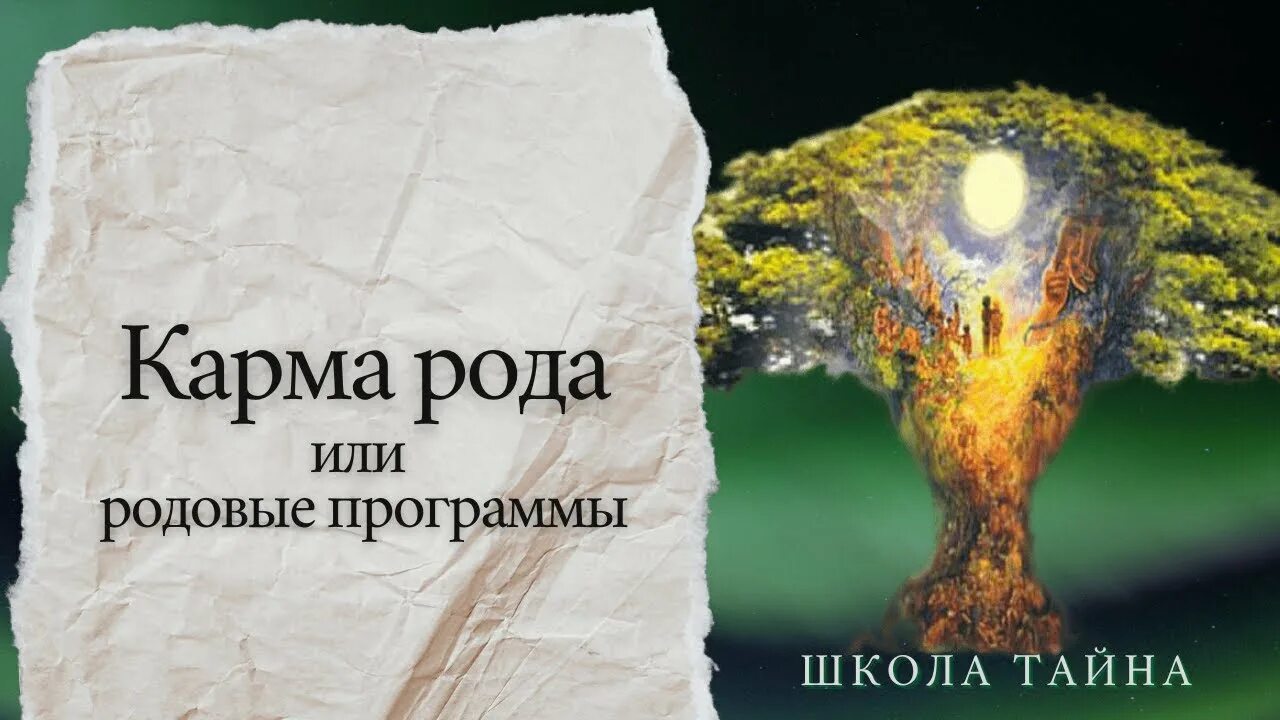 Кармическая денежная программа. Карма рода. Родовая карма. Отработка кармы рода %. Помни род и карма.