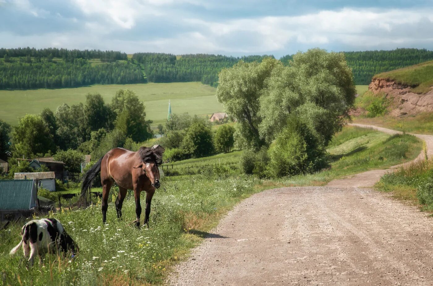 Село никуда. Околица деревни. Околица села. Село Околица Белоруссия. Что такое Околица в селе.