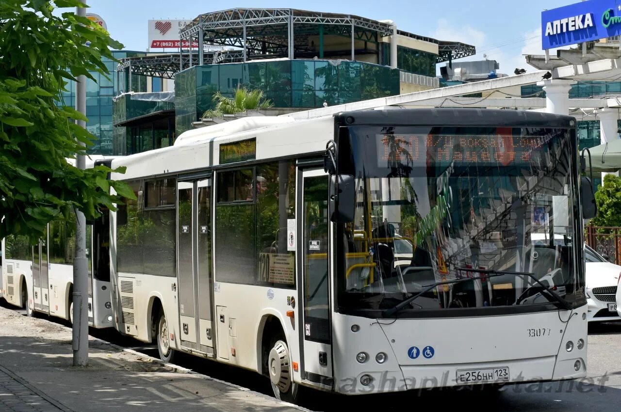 Электробус в Сочи. Автовокзал Сочи 2022. Автобусы Сочи. Сочинский автобус.