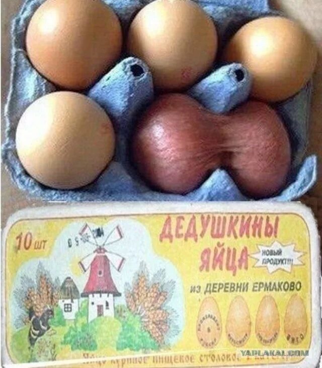 Яйца фото. Яйца прикольные картинки. Прикольные яйца на пасху. Яйца на пасху смешные. Прикольные яйца.