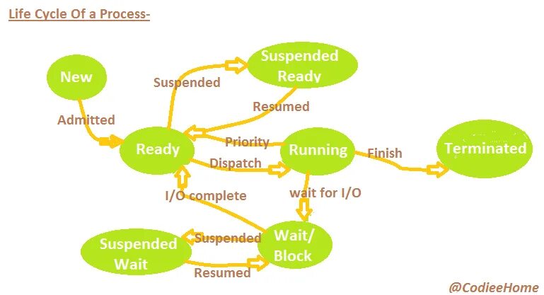 Processes of Life. Life Cycle natural processes. Suspended process. What is Life Cycle of a process?. Life processes