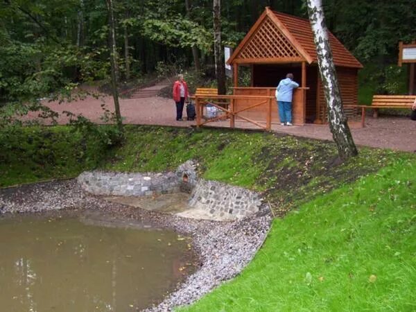 Родник Битцевский парк. Серебряные Родники Битцевский парк. Битцевский лес Родник. Ясенево Битцевский парк Родник. Родник ясеневая