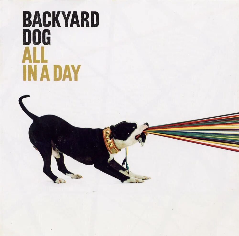 Nasty dog song. Nasty dog song. Бинго dog. Собака поет. Dj wonk.