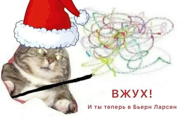 Новогодние картинки с мемами котами Funny grumpy cat memes, Grumpy cat humor, Funny cat memes