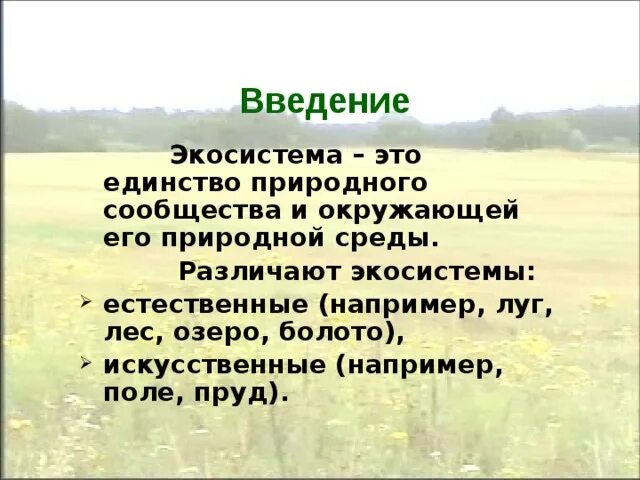 Характеристика экосистемы поле. Экосистема Луга. Луг естественная экосистема. Биогеоценоз луг. Природные экосистемы луг.