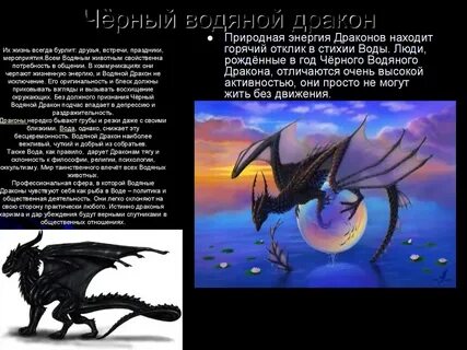 Описание года дракона