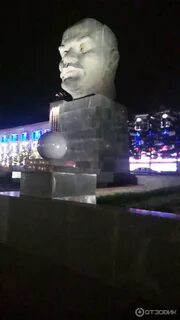 Ночная голова