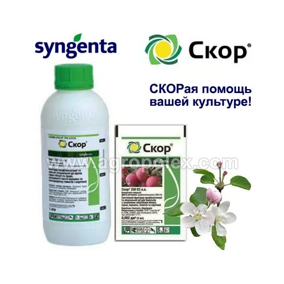 Скор фунгицид. Фунгицид скор Syngenta Швейцария. Фунгицид Ревус скор. Препарат скор упаковка.