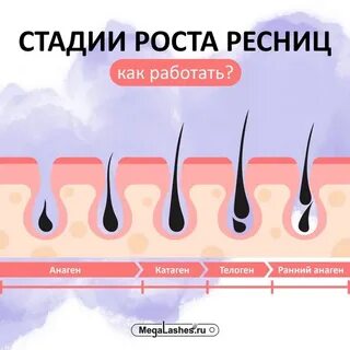 Функция ресниц