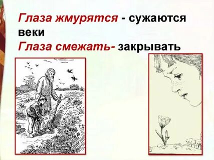 Какая главная мысль цветок на земле