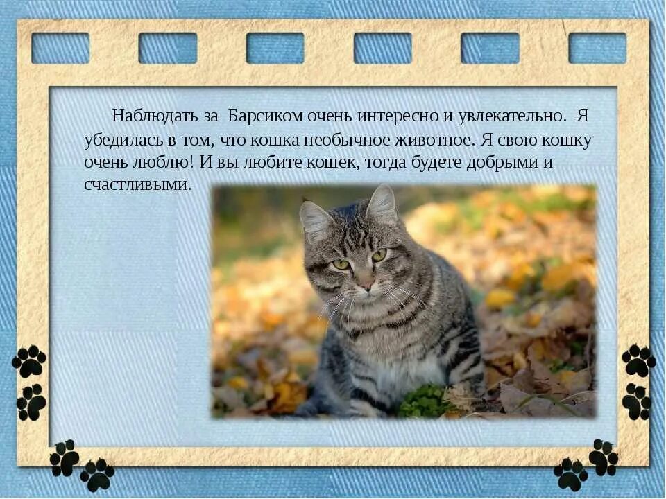 Рассказ про домашнего питомца 1 класс окружающий. Проект Мои домашние животные. Мой домашний питомец кошка. Проект про домашнего питомца. Проект мое домашнее животное.