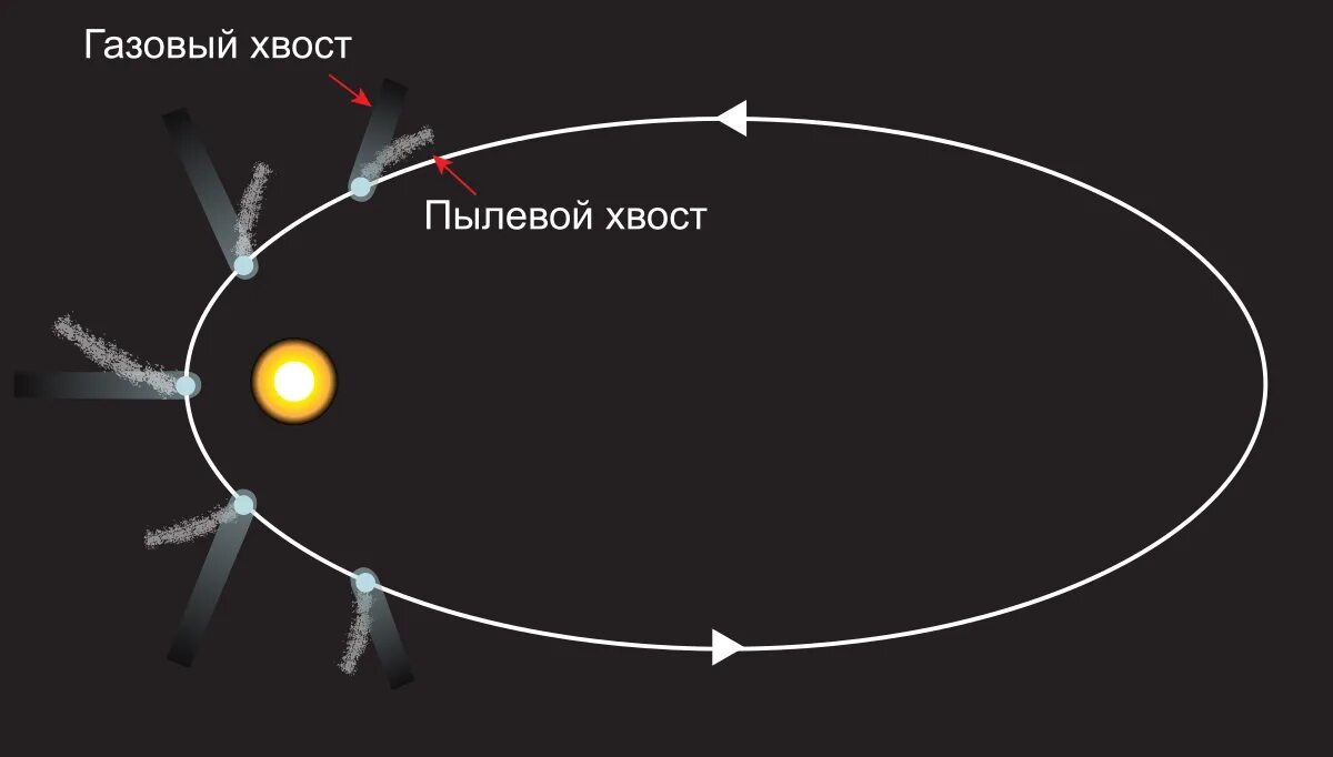 Противоположная сторона солнца. Направление хвоста кометы. Орбиты комет схема. Направление хвоста кометы при движении вокруг солнца. Газовый и пылевой хвост кометы.