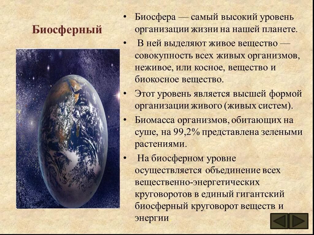 Презентации уровни организации. Биосферный уровень организации живой материи. Биосферный уровень жизни. Уровни организации живого. Биосфера уровень организации жизни.