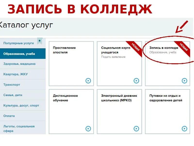 Подача заявления в колледж. Подача заявления в техникум через госуслуги. Заявление в колледж через госуслуги. Документы на госуслугах. Мос ру новорожденный