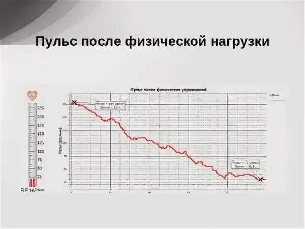 Пульс после