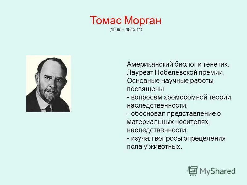 серебровский (1892-1948). ученые которые внесли вклад в развитие селекции. вклад ученых в генетику. ученые генетики.