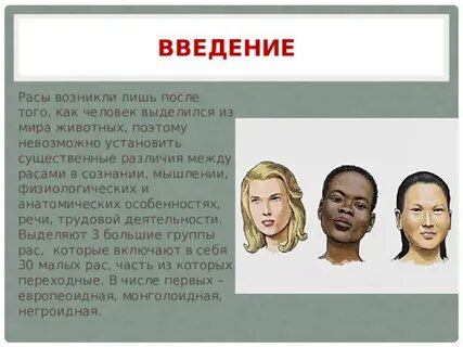 Почему возникли разные расы