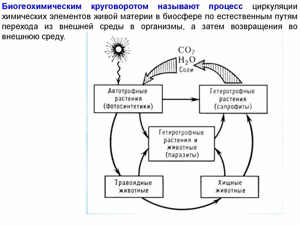 Биогеохимический круговорот веществ в природе. Круговорот биогенных элементов в биосфере схема. Глобальный биогеохимический круговорот вещества.. Биогеохимический цикл (круговорот веществ). Фф большой круговорот