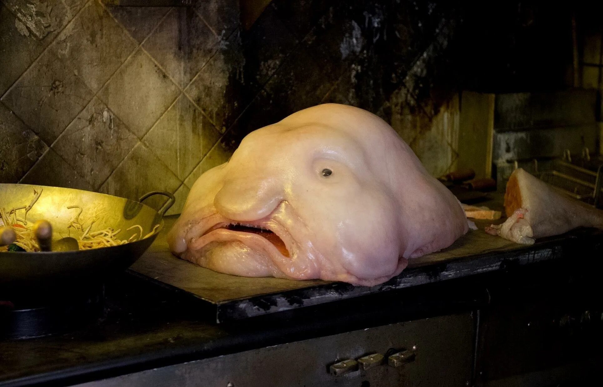 Кукумария охотская. Рыбка какашка. Смешные рыбы. Рыбка какает. Глубоководная рыба капля.