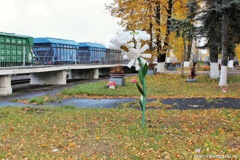 Москва гусь хрустальный вокзал