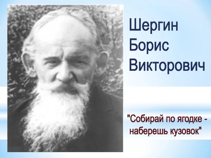 Б Шергин. Смысл собирай по ягодке наберешь