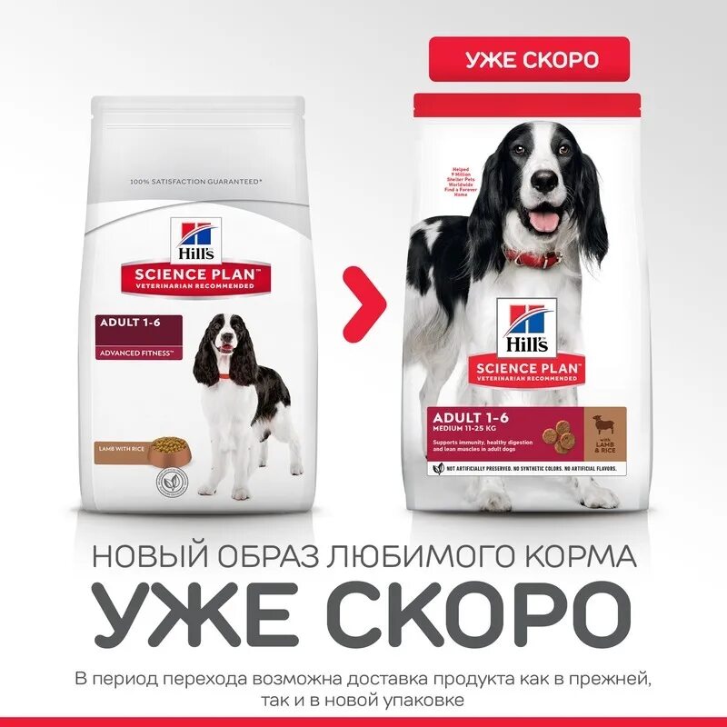 Hills сухой корм для собак 7. Хиллс для собак средних пород ягненок рис. хиллс ягненок рис для собак 7 средних пород 12 кг. корм для собак хиллс эдалт 1-5. корм хиллс для собак ягненок рис.