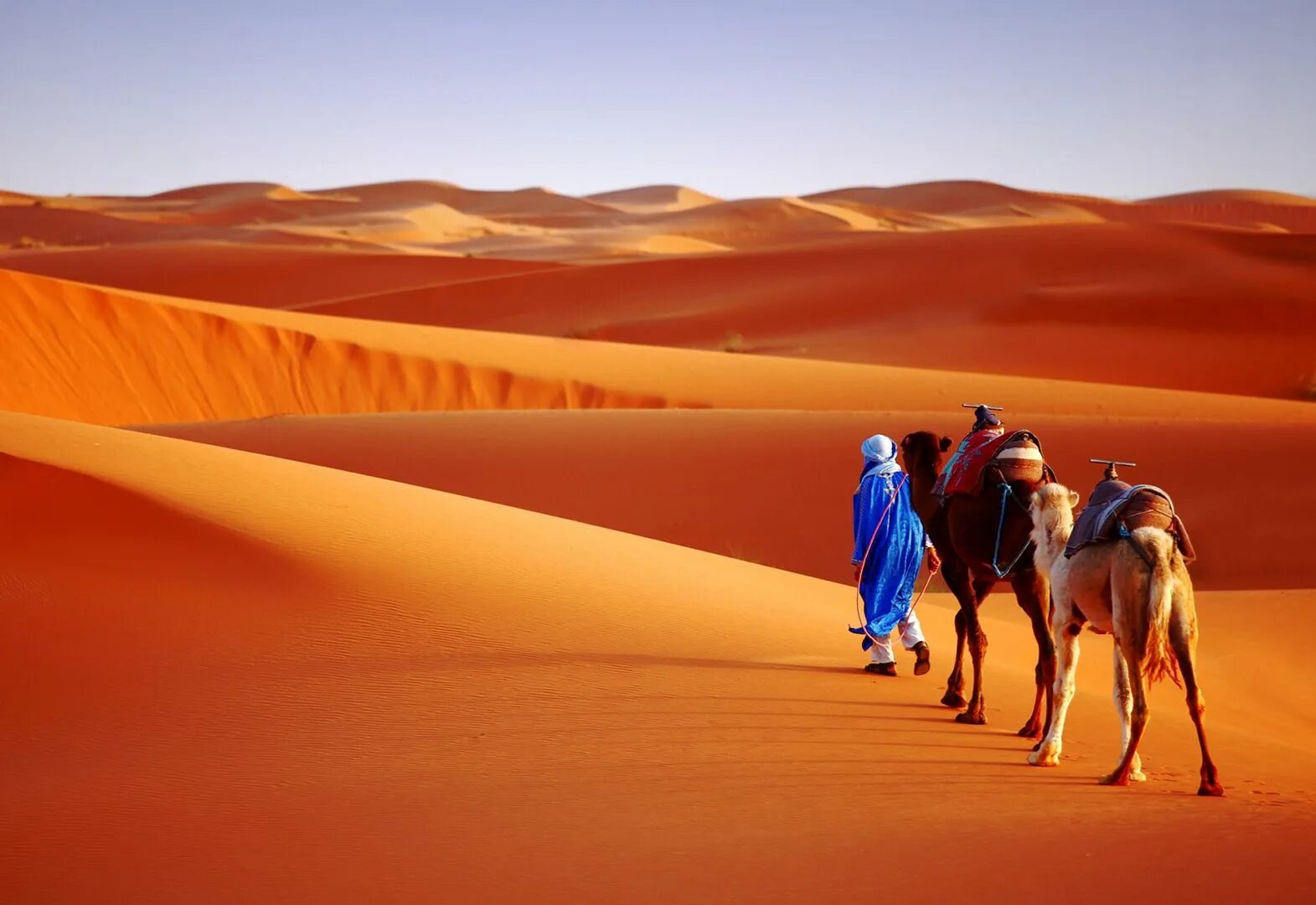 Мерзуга Марокко. Марокко пустыня Караваны. Караван марокканских верблюдов дромедаров. Марокко сахара. Тема караван