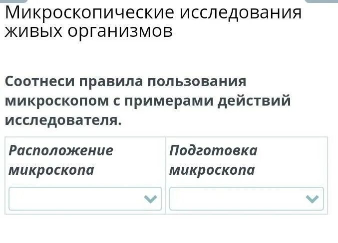 Микроскопические исследования живых организмов. Микромир бактерии. Макросъемка микроорганизмов. Микромир под микроскопом. Бактерии под микроскопом инфузория.
