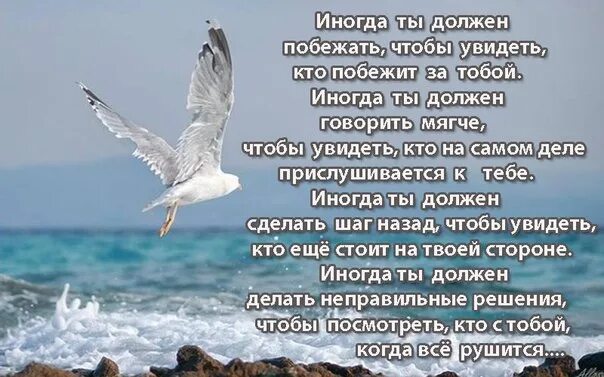 Иногда ты должен побежать. Иногда ты должен. Нужно сделать шаг назад чтобы увидеть. Иногда нужно побежать чтобы увидеть кто побежит за тобой. Шаг назад читать