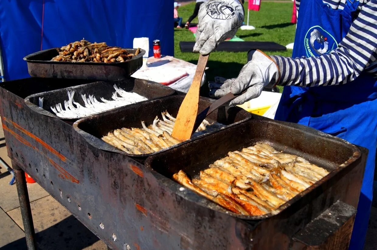 Праздник корюшки санкт. Праздник корюшки санкт. Праздник корюшки в питере 2021. Фестиваль корюшки 2022 в санкт-петербурге петропавловская крепость. Корюшка фестиваль петербург.
