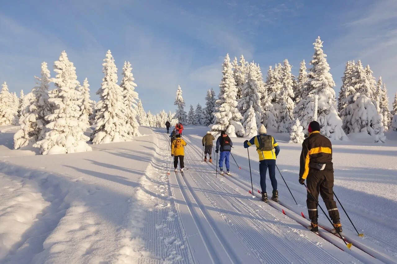 Горнолыжный курорт. Катание на лыжах дети. Лыжи кататься зимой. Лыжи кататься зимой. Катание на лыжах.