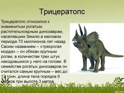Сообщение про динозавров