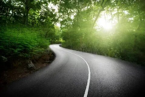 Future path